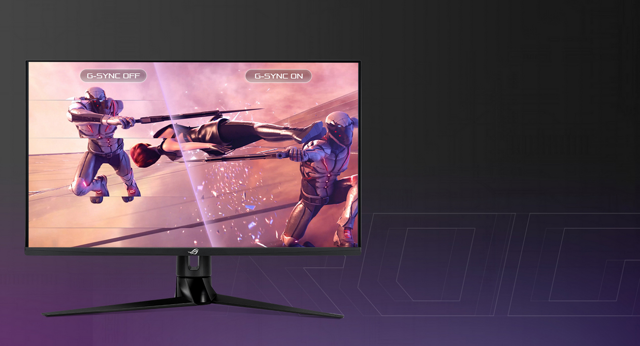 ASUS Gaming Monitor